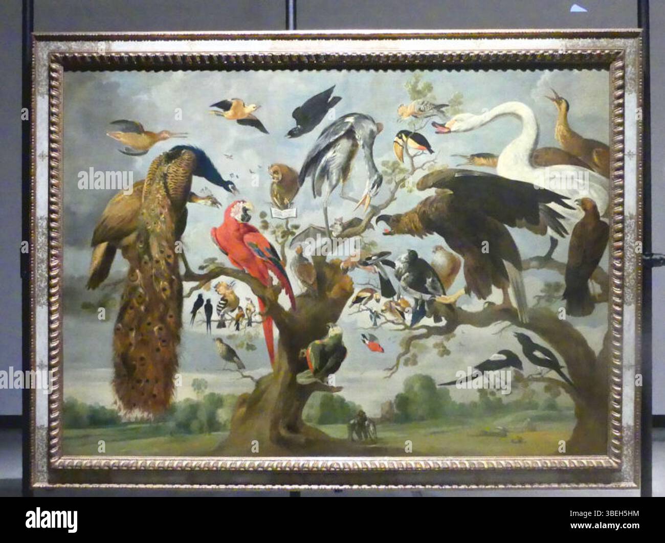 La mostra "Verborgen Parels" al Museo Hof van Busleyden di Mechelen nel 2015 ha visto la partecipazione di Paul De Vos "Vogelconcert" (Concerto per uccelli). Questo lavoro, una rappresentazione classica della natura, si concentra sulla bellezza e il dettaglio degli uccelli. Riflette l'abilità dell'artista nel ritrarre la fauna selvatica con precisione e maestria, offrendo un'idea dell'arte fiamminga del XVII secolo. Foto Stock La mostra "Verborgen Parels" al Museo Hof van Busleyden di Mechelen nel 2015 ha visto la partecipazione di Paul De Vos "Vogelconcert" (Concerto per uccelli). Questo lavoro, una rappresentazione classica della natura, si concentra sulla bellezza e il dettaglio degli uccelli. Riflette l'abilità dell'artista nel ritrarre la fauna selvatica con precisione e maestria, offrendo un'idea dell'arte fiamminga del XVII secolo. Foto Stock