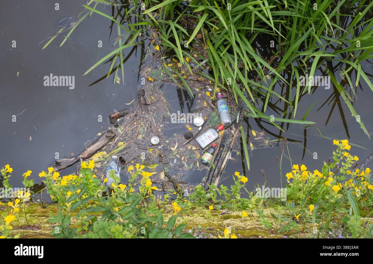 Bottiglie di plastica e lattine di bevande inquinano, galleggiano durante l'alta marea sul fiume Nith, vicino a Caul e Whitesands, nel centro di Dumfries, in Scozia. Foto Stock