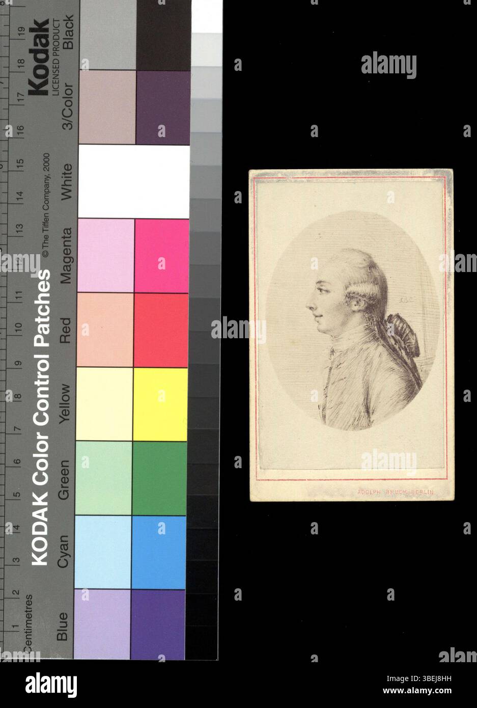 Ritratto fotografico di Jacob Bernoulli-Euler, creato intorno al 1800, che cattura una rappresentazione visiva formale del soggetto. Foto Stock