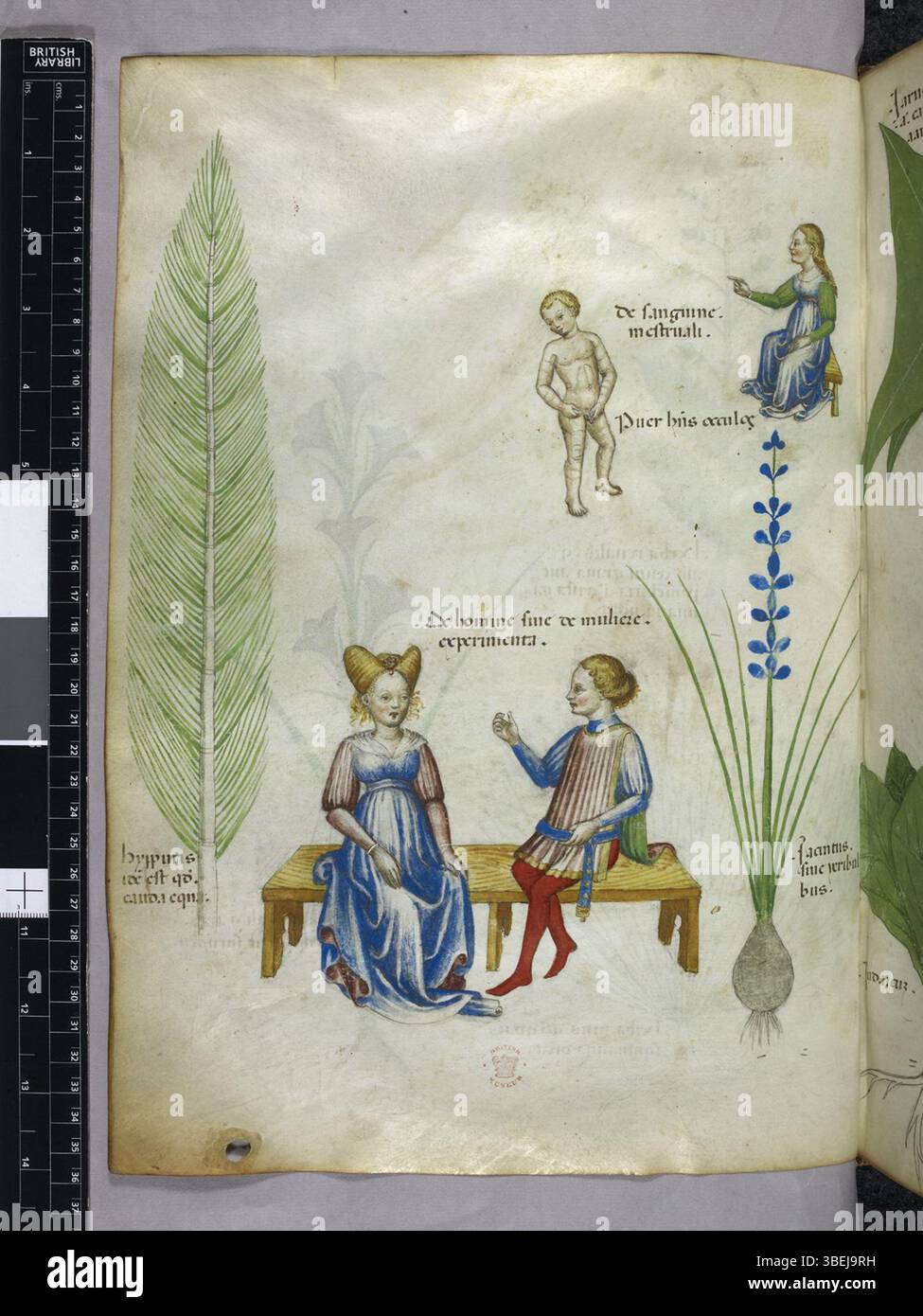 BL Sloane 4016, folio 044v, risalente al 1440 circa, fa parte di un manoscritto conservato presso la British Library. Il manoscritto, un significativo testo medievale, fornisce preziose informazioni sul pensiero e sulla cultura religiosa del XV secolo. Foto Stock