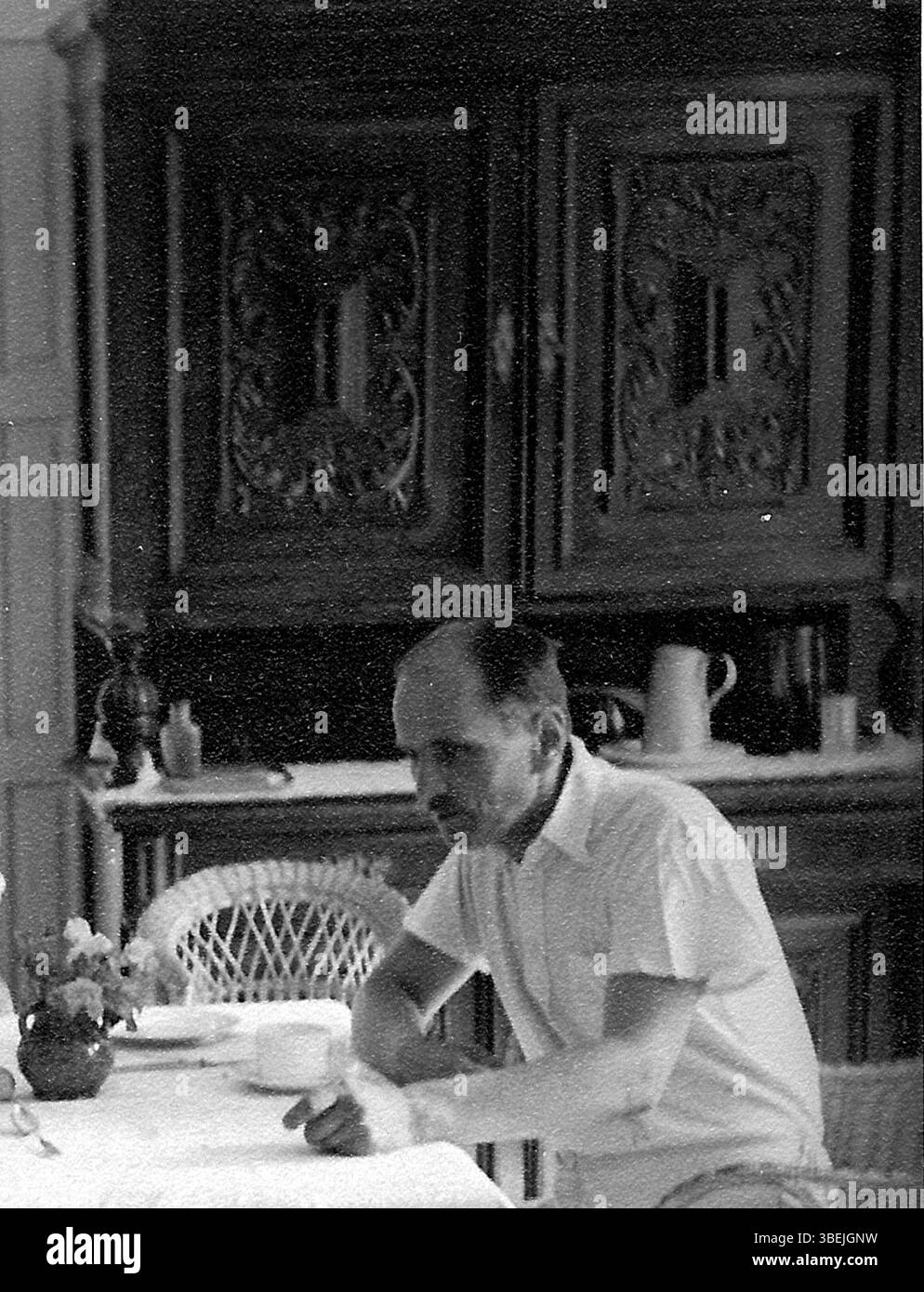 Roman Gineyko, un artista polacco, è noto per il suo lavoro a Otrbusy vicino Varsavia. Questa fotografia, scattata intorno al 1943, cattura la rappresentazione dell'artista dei paesaggi polacchi e del suo stile unico durante il periodo della guerra. Foto Stock