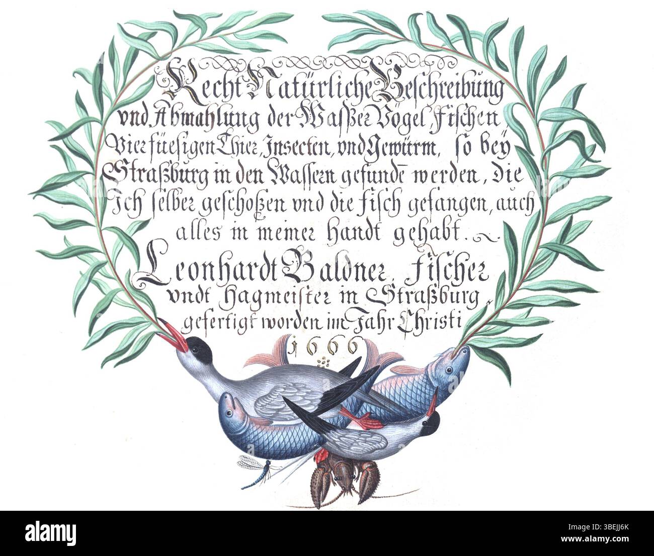 Il frontespizio del libro di Leonhard Baldner 'Vogel-, Fisch- und Thierbuch' (1666), che includeva illustrazioni dettagliate di uccelli, pesci e animali, mostrando i suoi contributi alla letteratura scientifica. Foto Stock