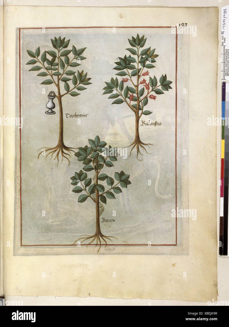 La pagina del manoscritto miniato f.193r di "BnF francese 12322" (1520-1530) mostra testo dettagliato e illuminazione, riflettendo i risultati artistici e accademici del primo Rinascimento. Foto Stock