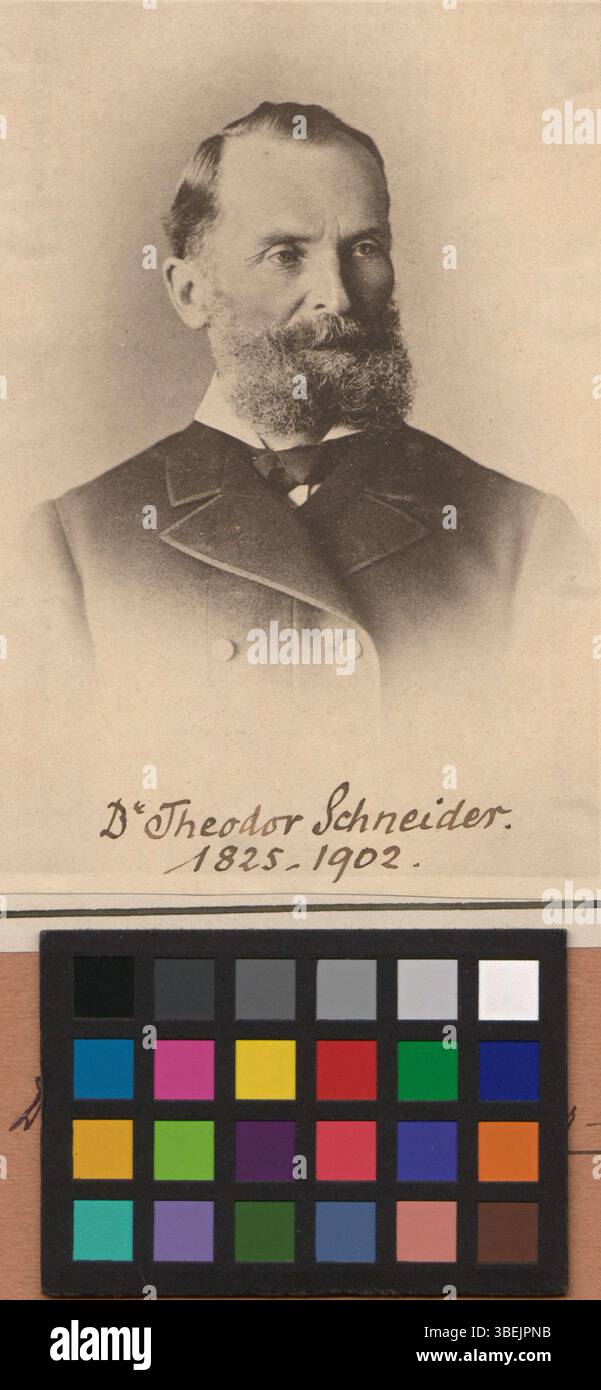 Questa riproduzione fotografica in bianco e nero, scattata tra il 1880 e il 1900, raffigura Theodor Schneider-Preiswerk. L'immagine è montata su un foglio, tipico delle riproduzioni fotografiche della fine del XIX secolo. Foto Stock