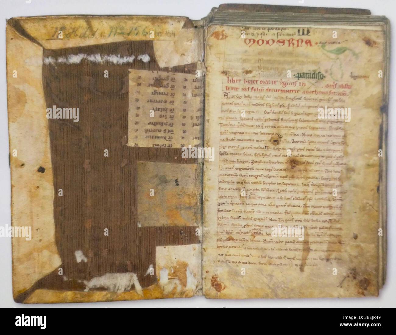 Il *Liber Beate Marie Virginis*, un manoscritto del XIII secolo, si trova nella Biblioteca Raczynski di Poznan. Questo testo medievale è dedicato alla Vergine Maria e rappresenta un esempio significativo di opere liturgiche paleocristiane in Polonia. Foto Stock