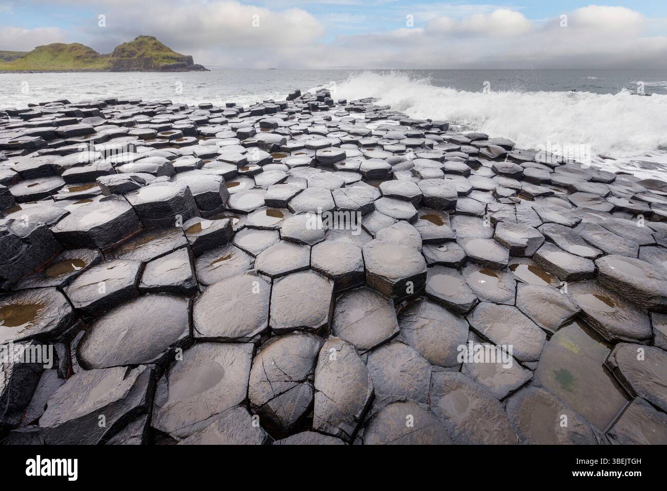 Giant's Causeway, Co. Antrim, Irlanda Foto Stock