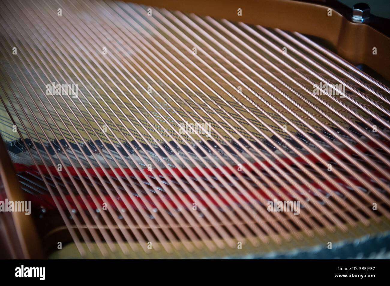 All'interno del nuovo pianoforte a coda, primo piano delle corde, bassa profondità di campo Foto Stock
