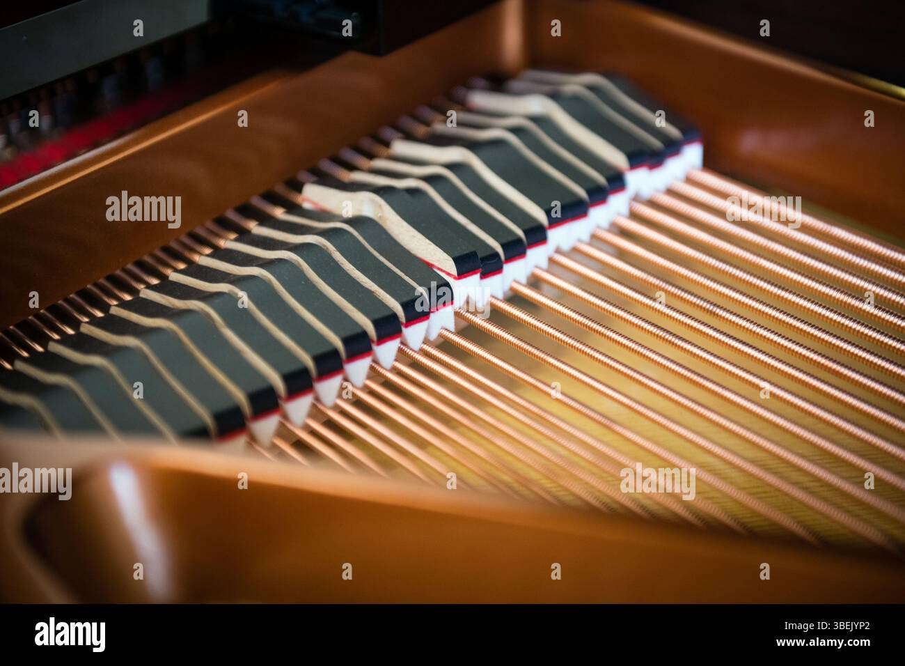 All'interno del nuovo pianoforte a coda, primo piano dei martelli, profondità di campo ridotta Foto Stock