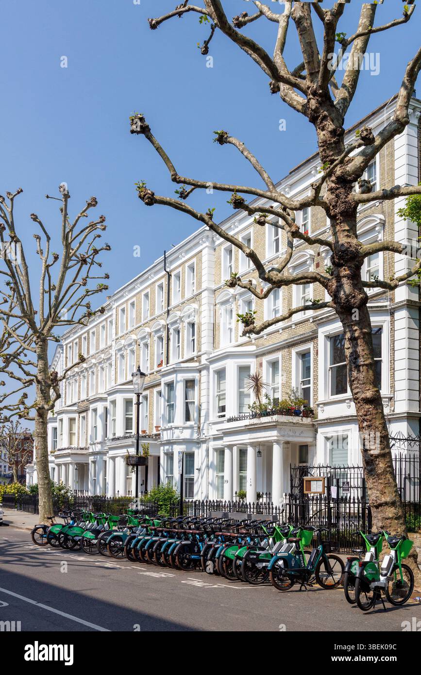 Bicicletta rak and Pollarded London Plane Trees, Philbeach Gardens, Earl's Court, Kensington, Londra, Inghilterra, Regno Unito Foto Stock