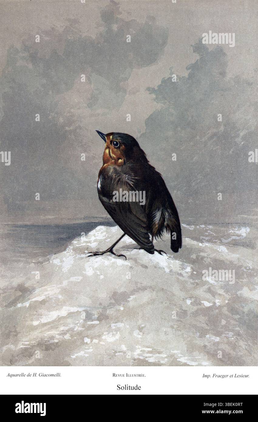 Questo acquerello di Hector Giacomelli, creato alla fine del XIX secolo, raffigura un uccellino da solo a terra in un ambiente grigio e innevato, che incarna il tema della solitudine nella natura. Foto Stock Questo acquerello di Hector Giacomelli, creato alla fine del XIX secolo, raffigura un uccellino da solo a terra in un ambiente grigio e innevato, che incarna il tema della solitudine nella natura. Foto Stock