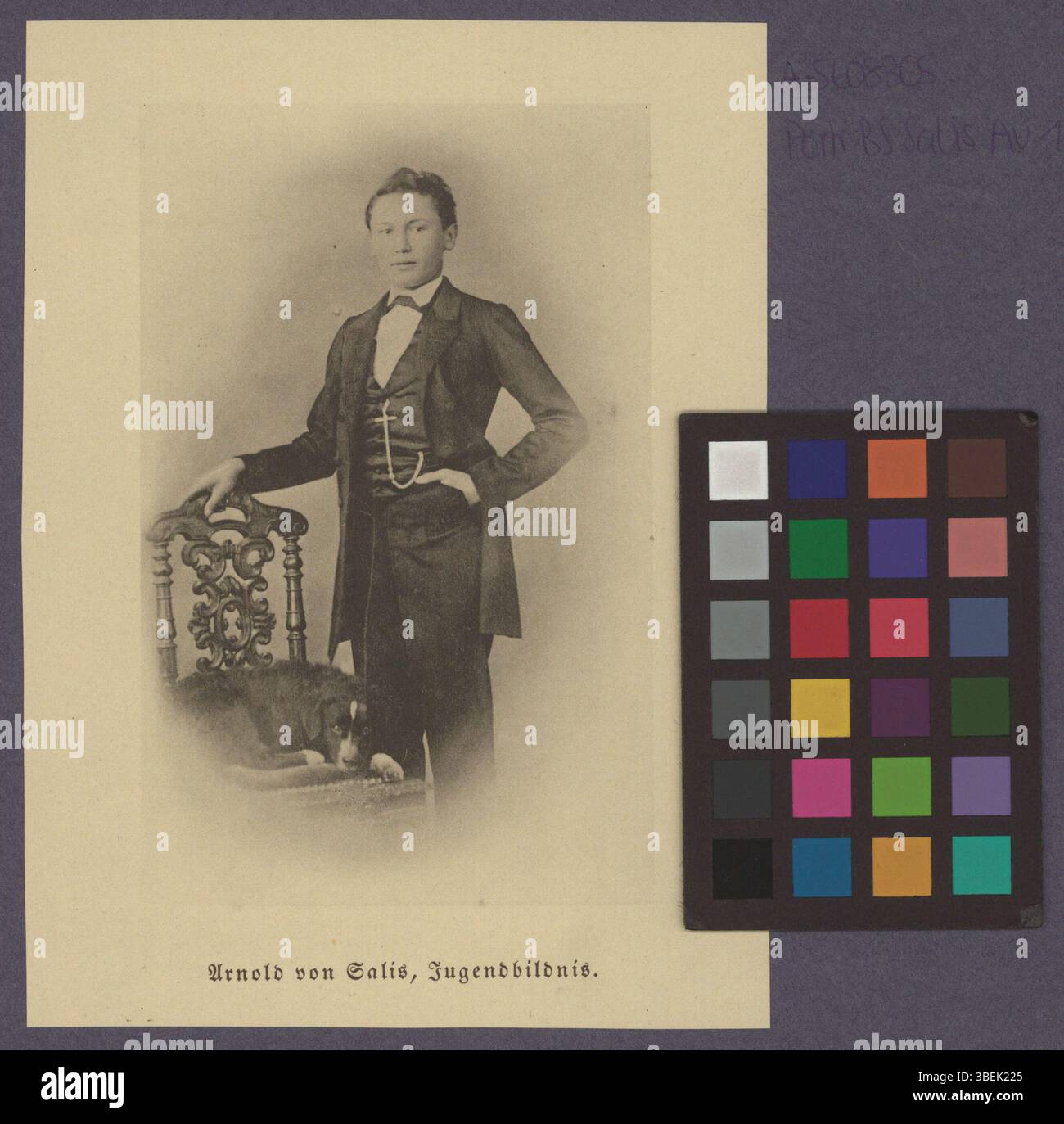 Questa riproduzione fotografica in bianco e nero di Arnold von Salis, realizzata tra il 1860 e il 1867, cattura il soggetto con chiarezza e precisione storica, tipica delle tecniche fotografiche della metà del XIX secolo. Foto Stock