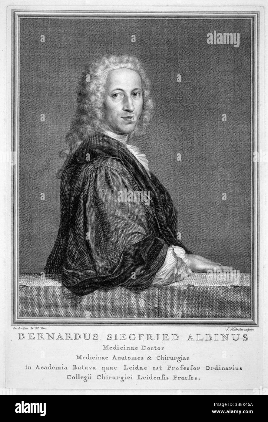 Questo ritratto di Jacobus Houbraken (1698-1780) mostra il dottor Bernard Siegfried Albinus. Il pezzo è stato creato tra la fine del XVII e il XVIII secolo e illustra Albino, una figura di spicco nel campo medico e anatomico. Il ritratto fa parte di una più ampia collezione di opere di Houbraken, noto per le sue raffigurazioni di figure intellettuali. Foto Stock