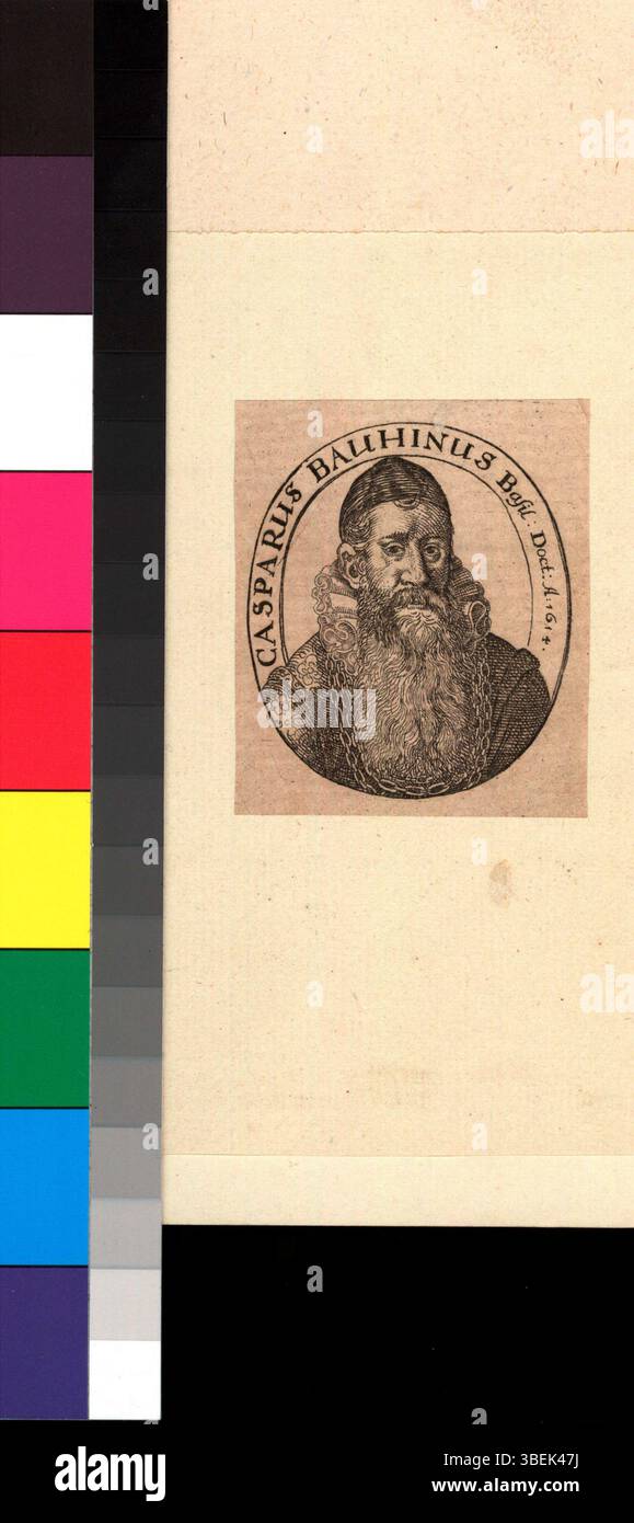 Un'incisione di Caspar Bauhin, creata tra il 1614 e il 1650, raffigurante lui con due catene onorarie in una cornice ovale. Bauhin, medico e botanico svizzero, è ricordato per la sua classificazione delle piante. Foto Stock Un'incisione di Caspar Bauhin, creata tra il 1614 e il 1650, raffigurante lui con due catene onorarie in una cornice ovale. Bauhin, medico e botanico svizzero, è ricordato per la sua classificazione delle piante. Foto Stock