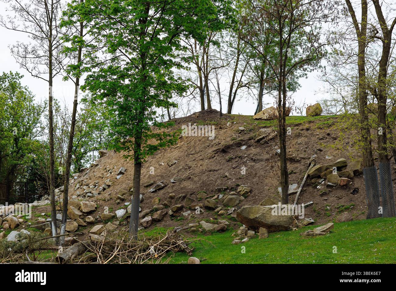 Recinzione dello zoo per lo stambecco alpino con colline rocciose, terreno naturale e copertura degli alberi progettata per simulare l'ambiente montano Foto Stock