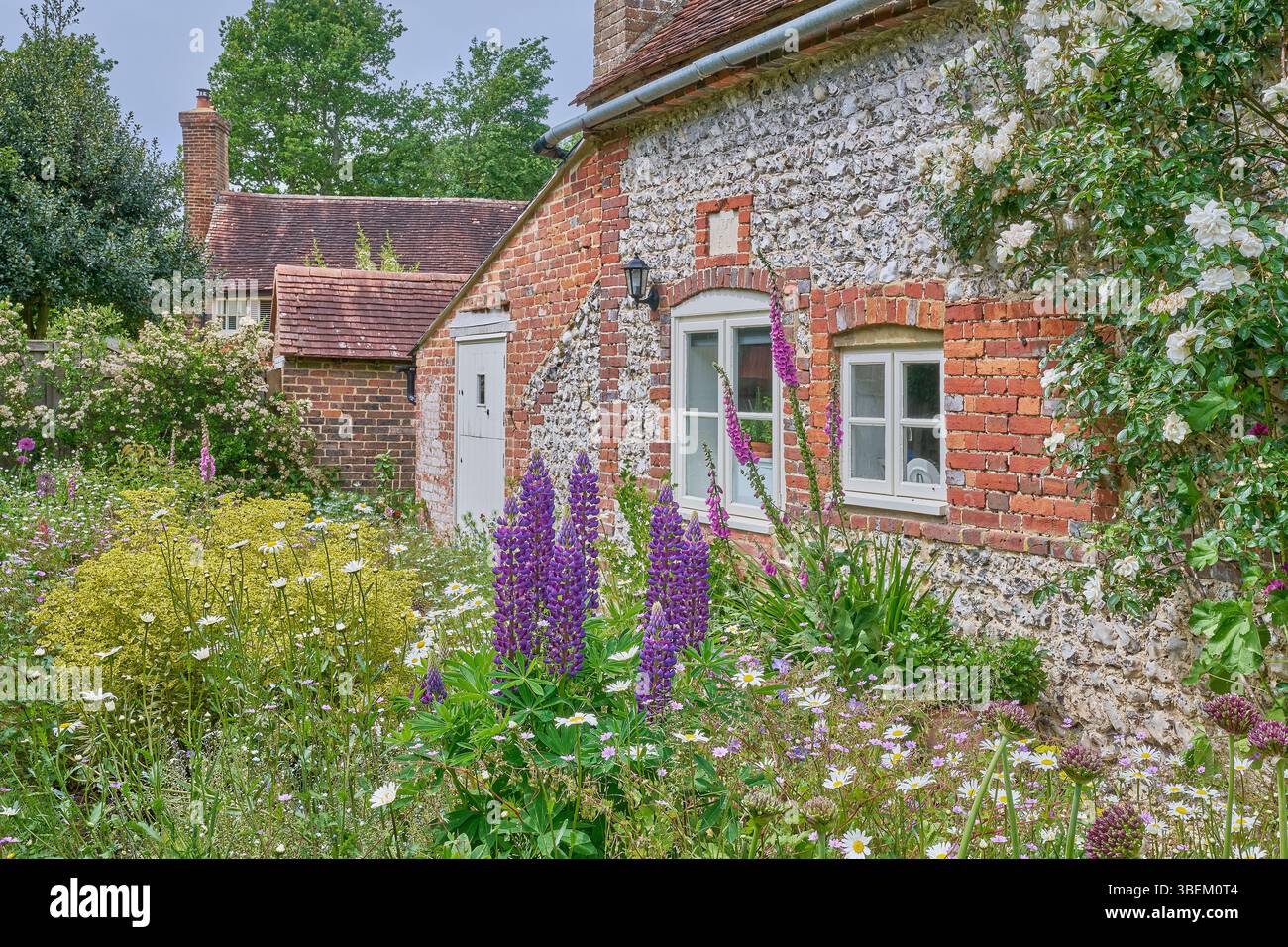 Cottage di campagna inglese e giardino cottage in estate Foto Stock