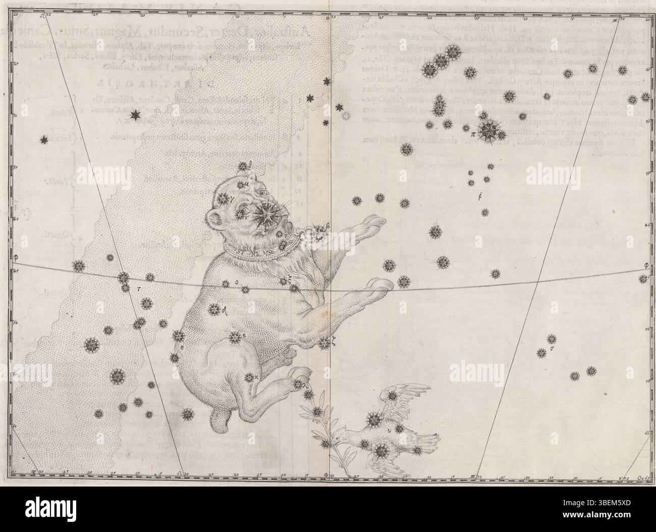 Questa mappa stellare, creata da Johann Bayer nel 1603, raffigura la costellazione del Canis maggiore. La carta, parte dell'Uranometria di Bayer, è un'opera significativa nella prima mappatura astronomica, che rappresenta le stelle e i modelli celesti del tempo. Foto Stock