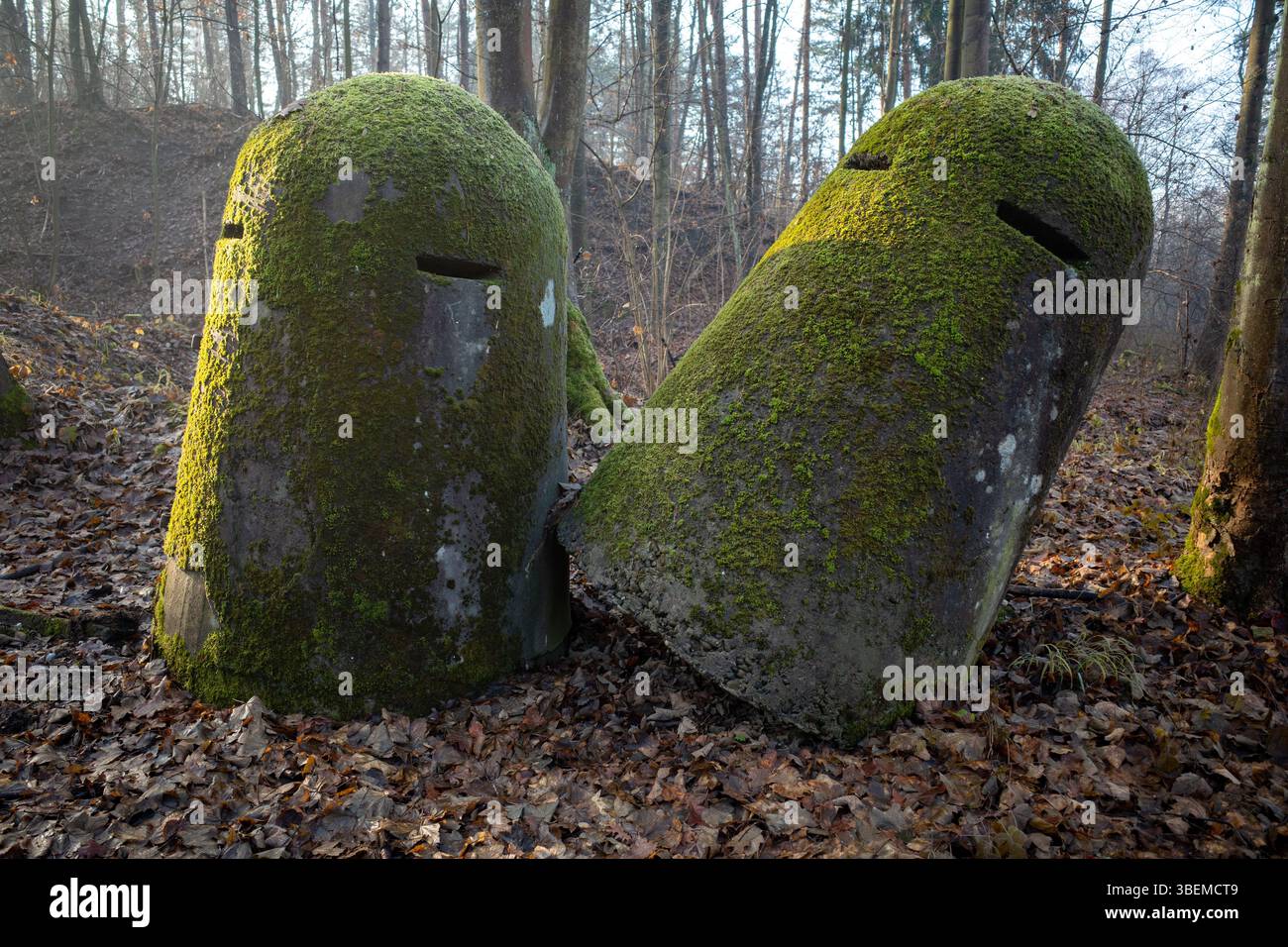 Strutture militari tedesche del tipo "Luftschutz-Splitterschutzzelle" del periodo della seconda guerra mondiale. Chełmek, Polonia. Foto Stock