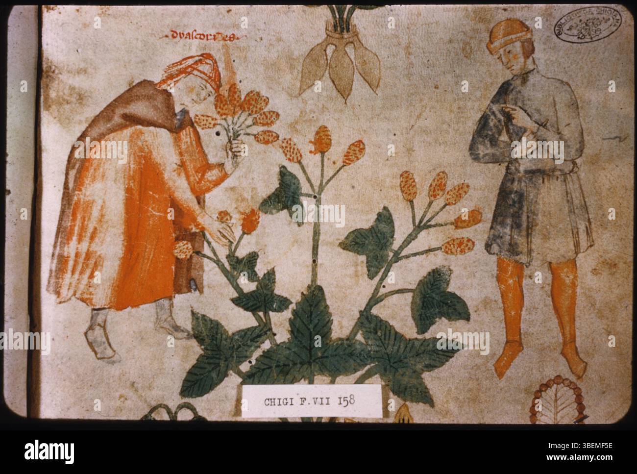 Questo manoscritto del XV secolo, ospitato nella Biblioteca Vaticana (BAV Chig F VII 158), contiene intricate illustrazioni e scritture religiose. Il folio offre uno sguardo sulla tradizione medievale dei manoscritti miniati, che mostrano contenuti religiosi e storici del tardo Medioevo. Foto Stock