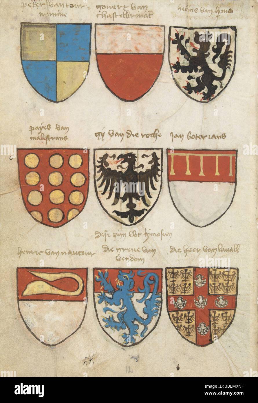 Folio 006v del Wapenboek Beyeren, un manoscritto armato risalente al 1402-1405, che mostra stemmi e disegni araldici di famiglie nobili europee. Foto Stock