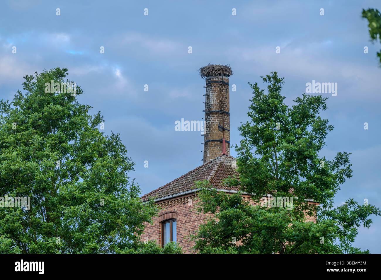 Un nido di cicogna su un vecchio camino Foto Stock