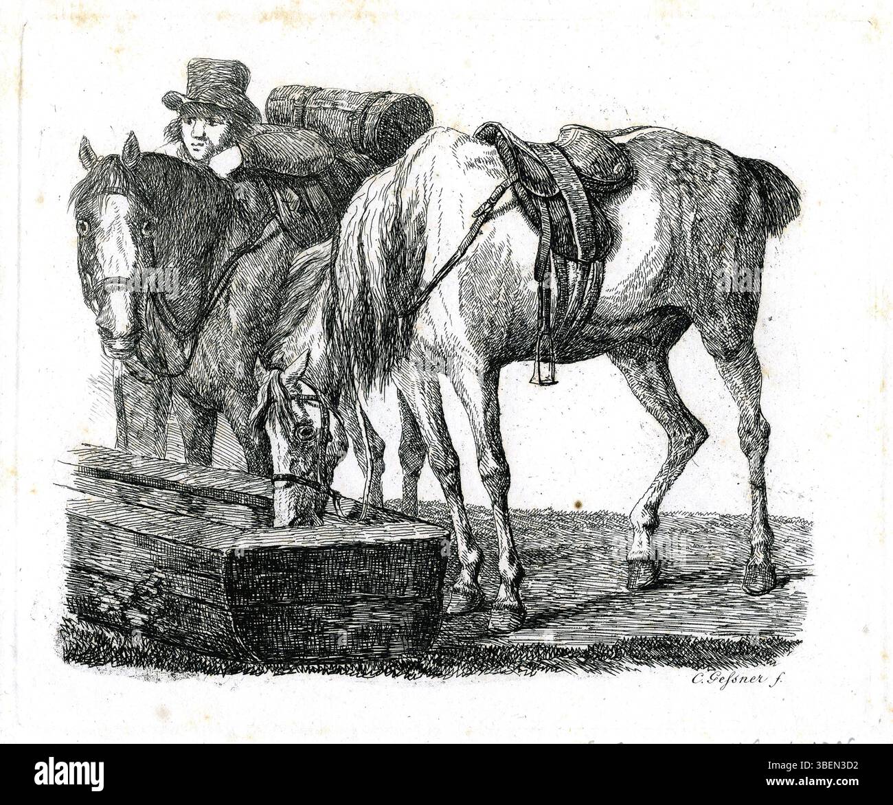 Questa opera d'arte di Conrad Gessner (1764-1826) raffigura un uomo e due cavalli che bevono da un corpo d'acqua. La scena è stata creata in Germania intorno al 1518, e la sua semplicità evidenzia la naturale interazione tra esseri umani e animali. Fa parte di una collezione di opere che illustrano gli animali e le loro relazioni con gli esseri umani. Foto Stock