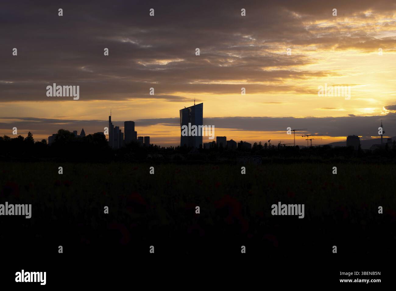 Le nuvole passano sopra la Banca centrale europea (BCE) e lo skyline bancario di Francoforte la sera, poco di fronte al tramonto, Oberrad, Francoforte sul meno Foto Stock