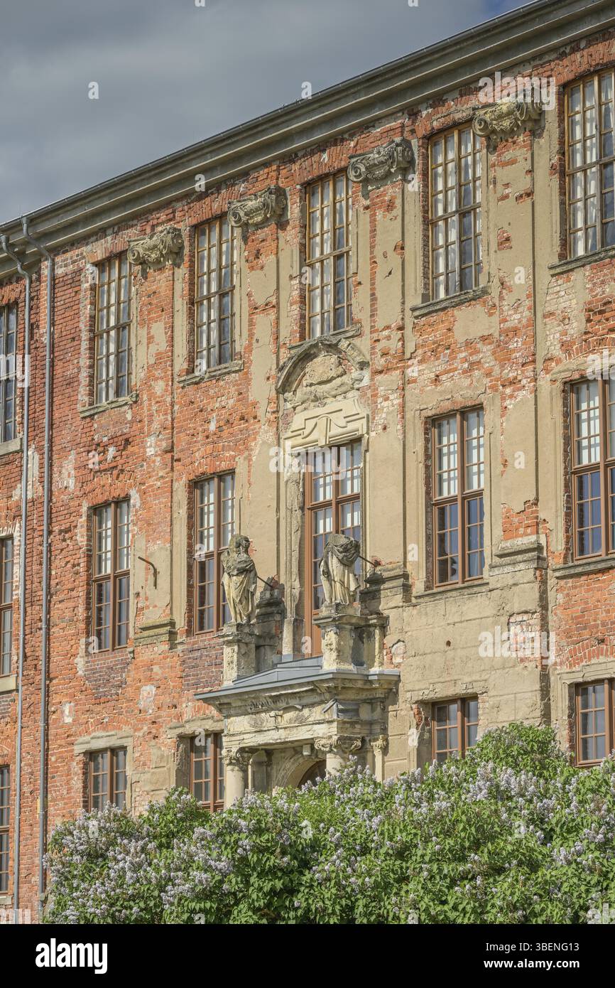 Castello, Zerbst, distretto di Anhalt-Bitterfeld, Sassonia-Anhalt, Germania, Europa Foto Stock