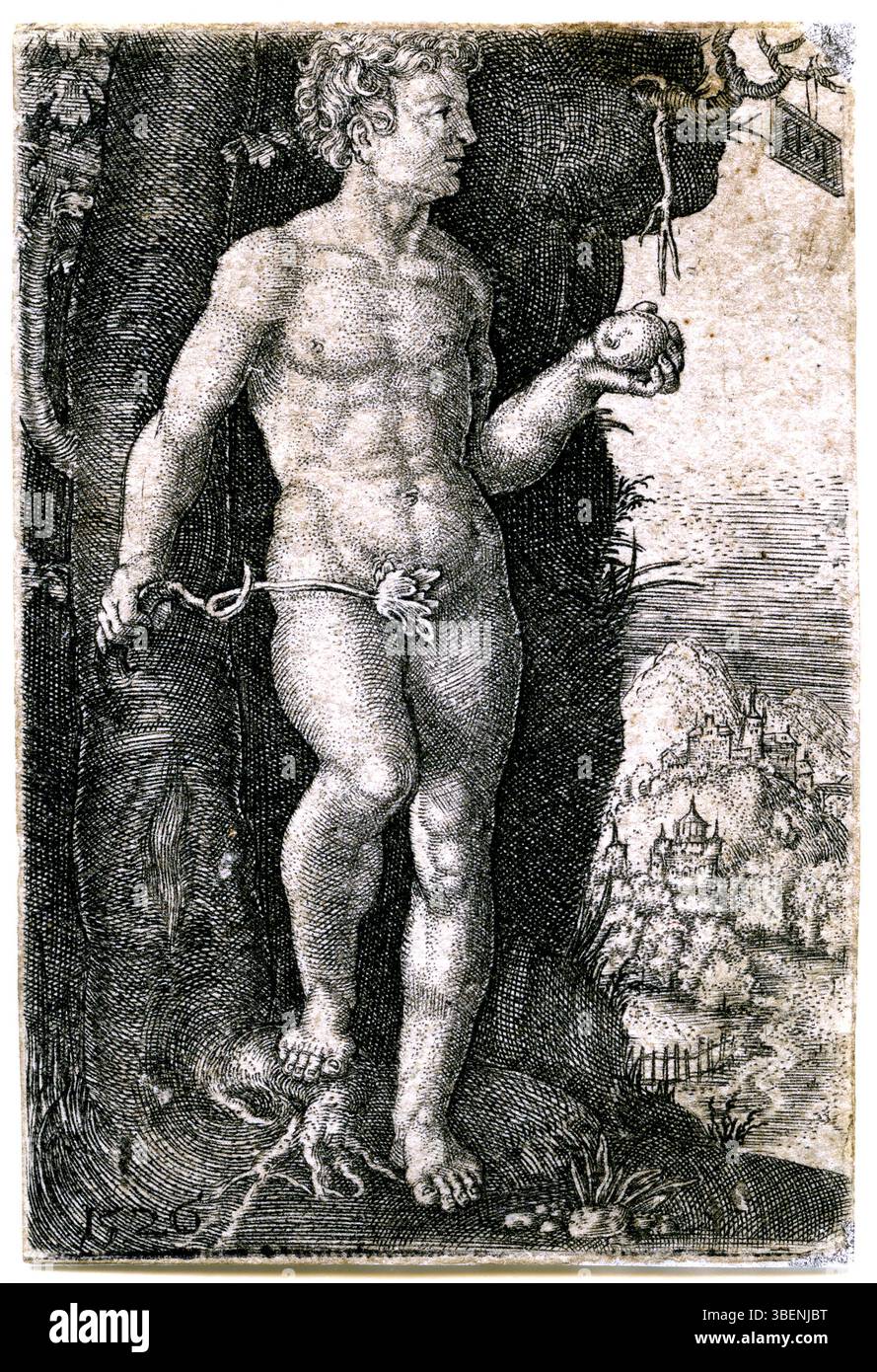Jacob Binck (1500-1569) è l'artista dietro *Adam*, un'opera che riflette temi biblici. L'incisione raffigura Adamo, il primo uomo della Bibbia, in una rappresentazione drammatica e simbolica coerente con l'attenzione dell'arte rinascimentale sulle figure umane e sulle narrazioni spirituali. Foto Stock