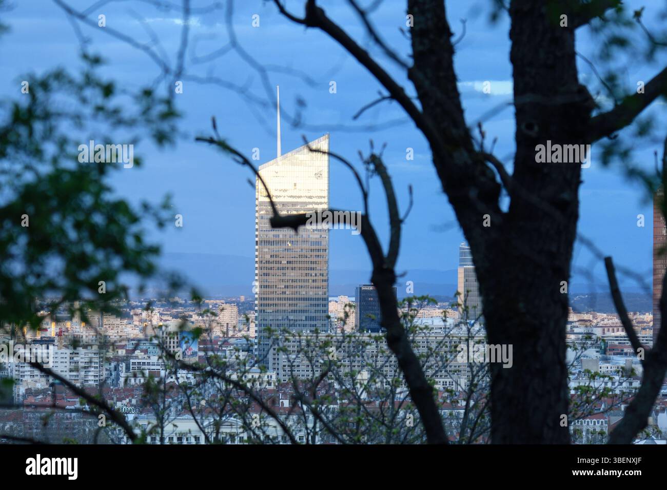 Vista panoramica di Lione attraverso gli alberi Foto Stock