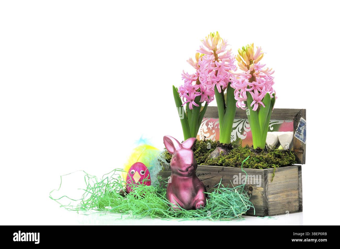 Giacinti pasquali (hyacinthus orientalis) Foto Stock