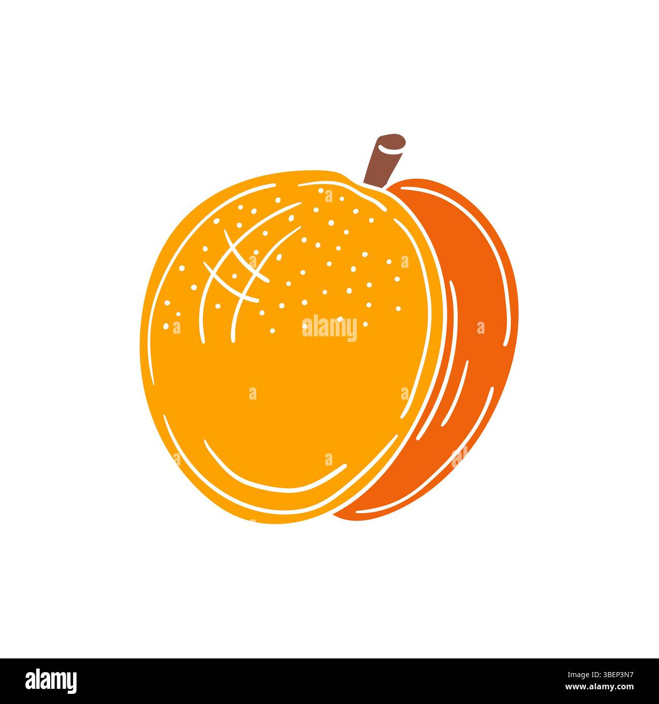 Simpatica illustrazione di frutta in stile disegno a mano. Icona albicocca su sfondo bianco. Contorno bianco. Design per cartoline, volantini, striscioni. Icona, firma Illustrazione Vettoriale