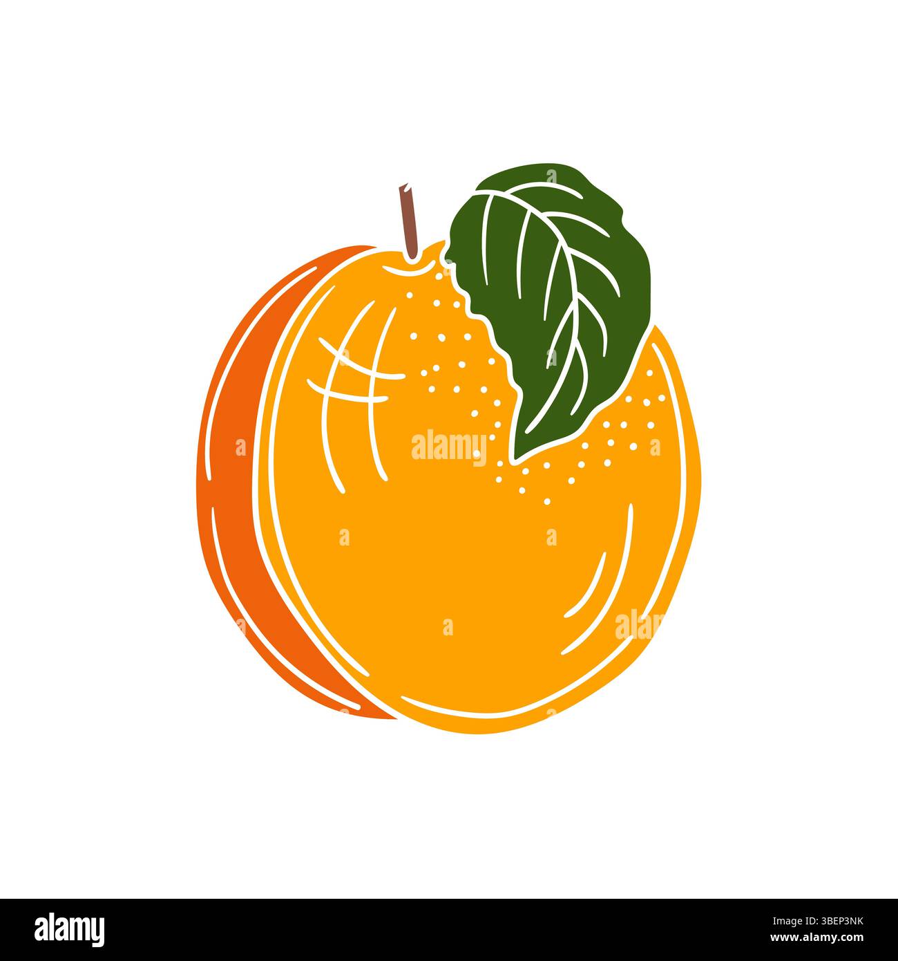 Simpatica illustrazione di frutta in stile disegno a mano. Icona albicocca su sfondo bianco. Contorno bianco. Design per cartoline e volantini Illustrazione Vettoriale