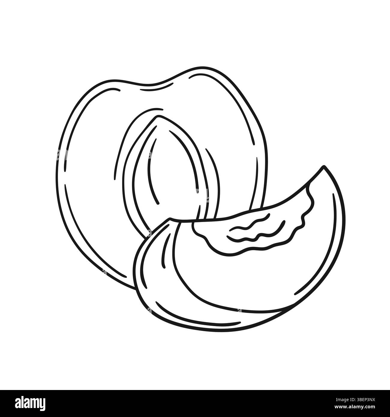 Simpatica illustrazione di frutta in stile disegno a mano. Monocromatico. Icona albicocca su sfondo bianco. Disegna per colorare libri, giochi educativi per bambini. ICO Illustrazione Vettoriale