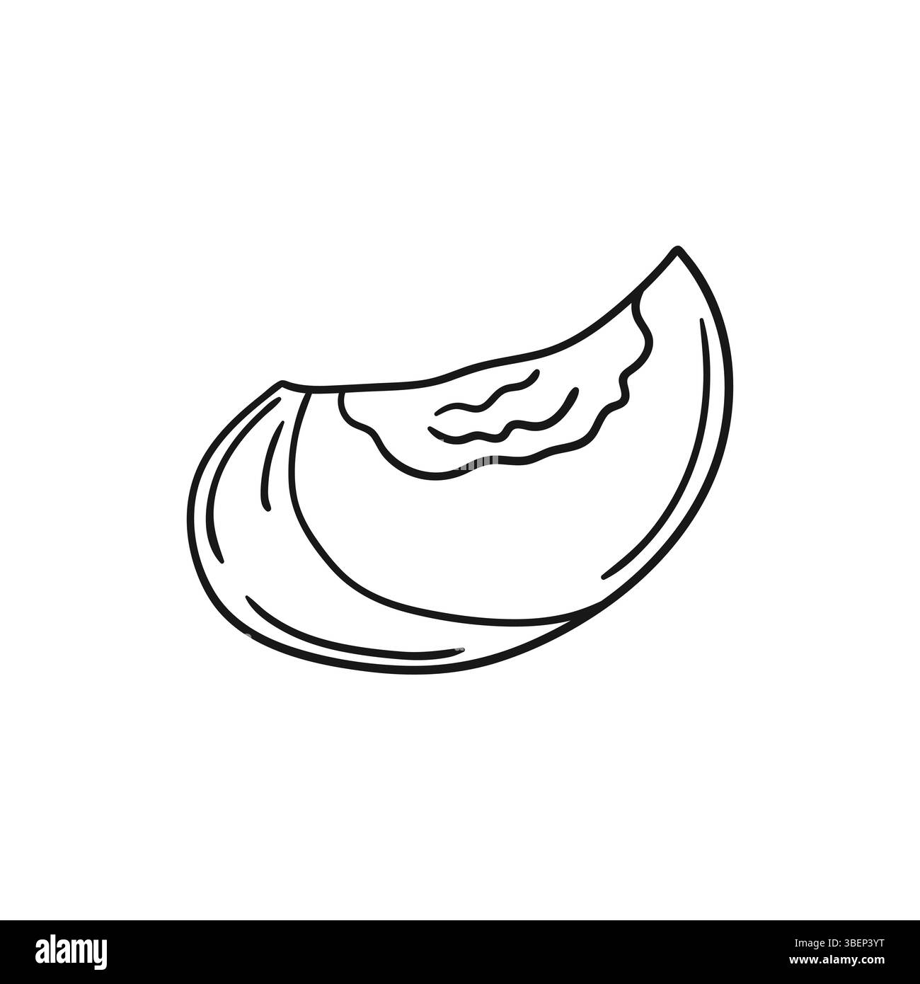 Simpatica illustrazione di frutta in stile disegno a mano. Monocromatico. Icona albicocca su sfondo bianco. Design per colorare libri e giochi Illustrazione Vettoriale