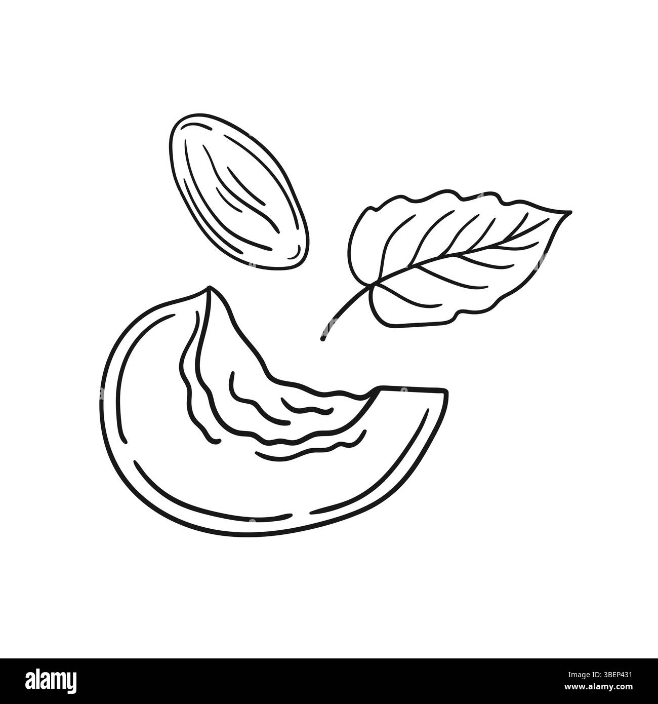 Simpatica illustrazione di frutta in stile disegno a mano. Monocromatico. Icona albicocca su sfondo bianco. Disegna per colorare libri, giochi educativi per bambini. ICO Illustrazione Vettoriale