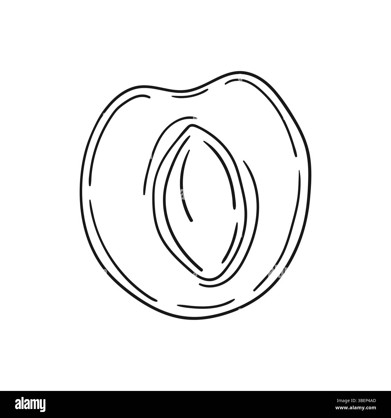 Simpatica illustrazione di frutta in stile disegno a mano. Monocromatico. Icona albicocca su sfondo bianco. Design per libro Illustrazione Vettoriale
