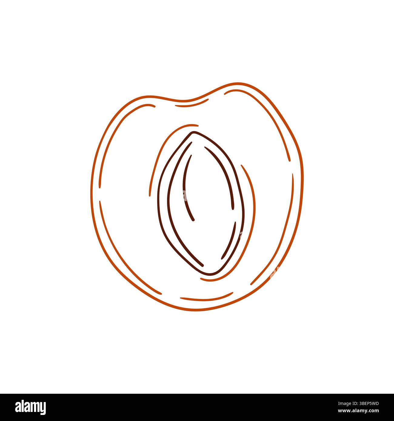 Simpatica illustrazione di frutta in stile disegno a mano. Icona albicocca su sfondo bianco. Contorno colore. Design per libro da colorare Illustrazione Vettoriale