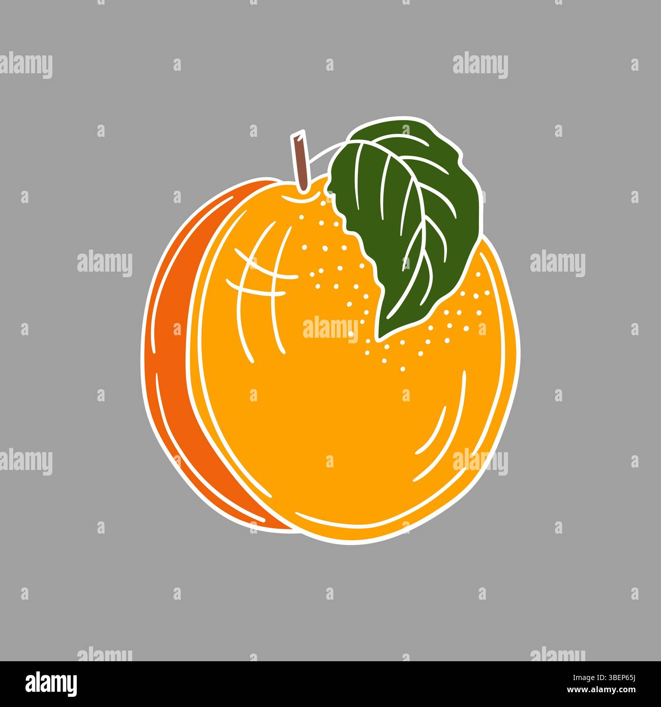 Simpatica illustrazione di frutta in stile disegno a mano. Icona albicocca su sfondo grigio. Contorno bianco. Design per cartoline e volantini Illustrazione Vettoriale