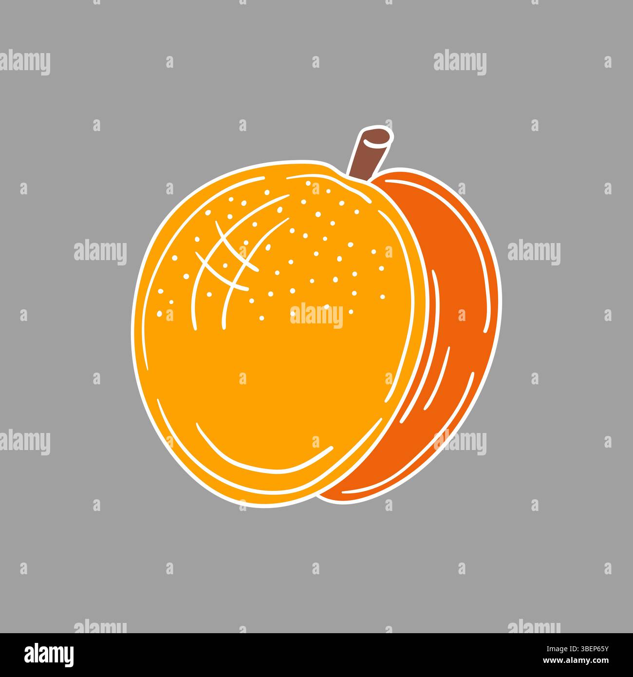 Simpatica illustrazione di frutta in stile disegno a mano. Icona albicocca su sfondo grigio. Contorno bianco. Design per cartoline, volantini, striscioni. Icona, firma Illustrazione Vettoriale
