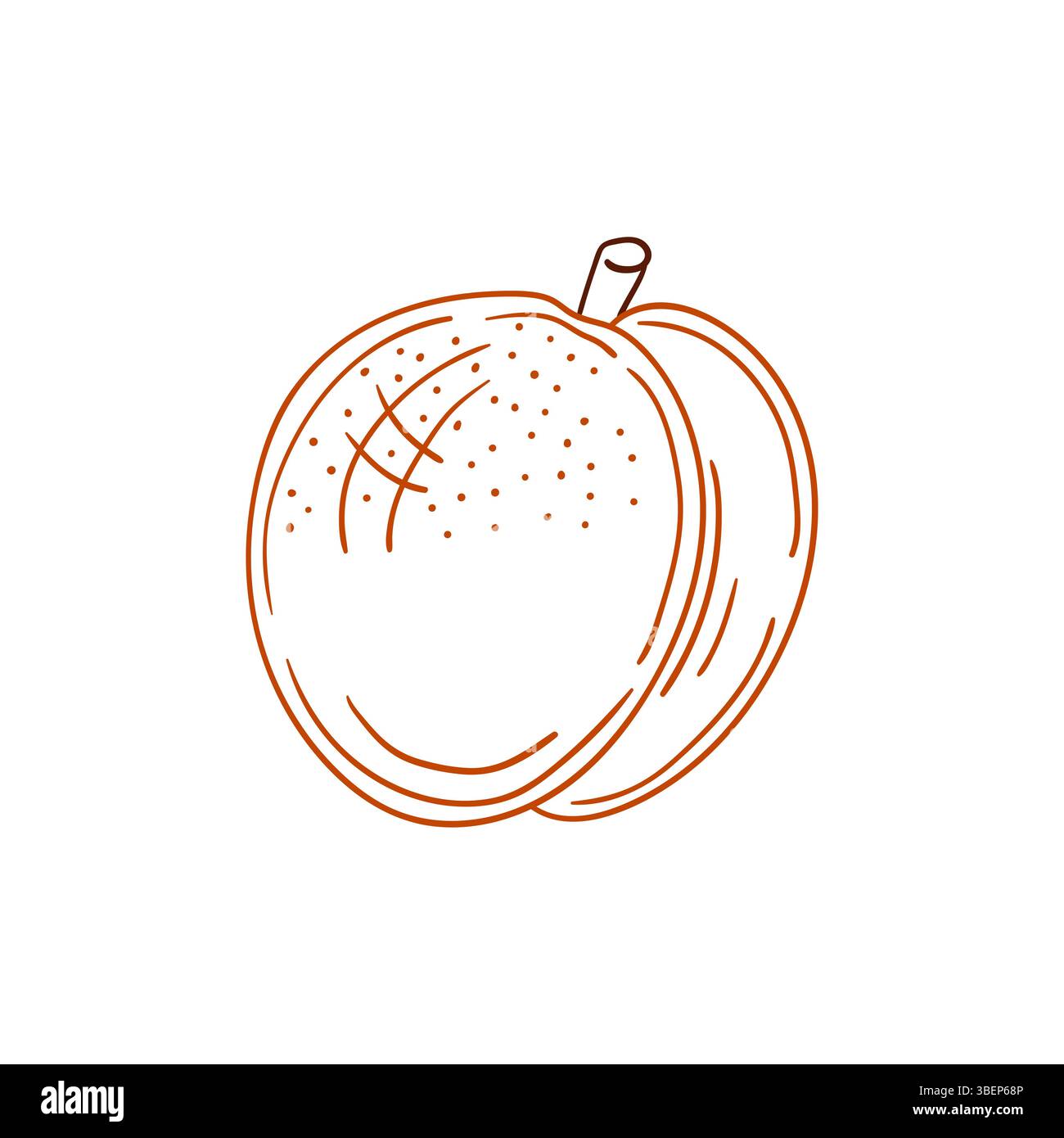 Simpatica illustrazione di frutta in stile disegno a mano. Icona albicocca su sfondo bianco. Contorno colore. Disegna per colorare libri, giochi educativi per bambini. Illustrazione Vettoriale