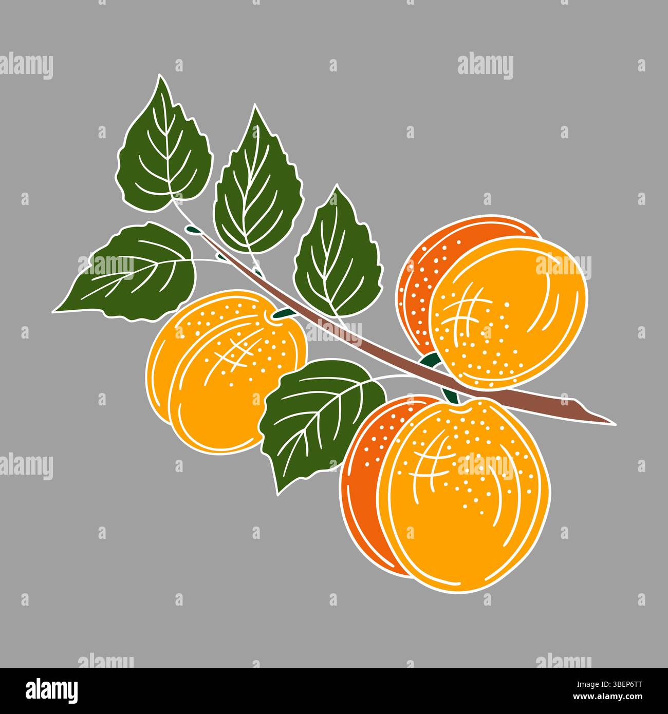Simpatica illustrazione di frutta in stile disegno a mano. Icona albicocca su sfondo grigio. Contorno bianco. Design per cartoline, volantini, striscioni. Icona, segno, adesivo Illustrazione Vettoriale