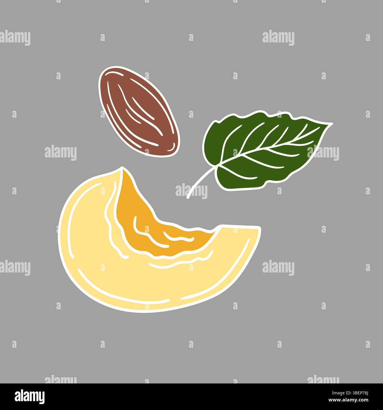 Simpatica illustrazione di frutta in stile disegno a mano. Icona albicocca su sfondo grigio. Contorno bianco. Design per cartoline, volantini, striscioni. Icona, segno, adesivo Illustrazione Vettoriale
