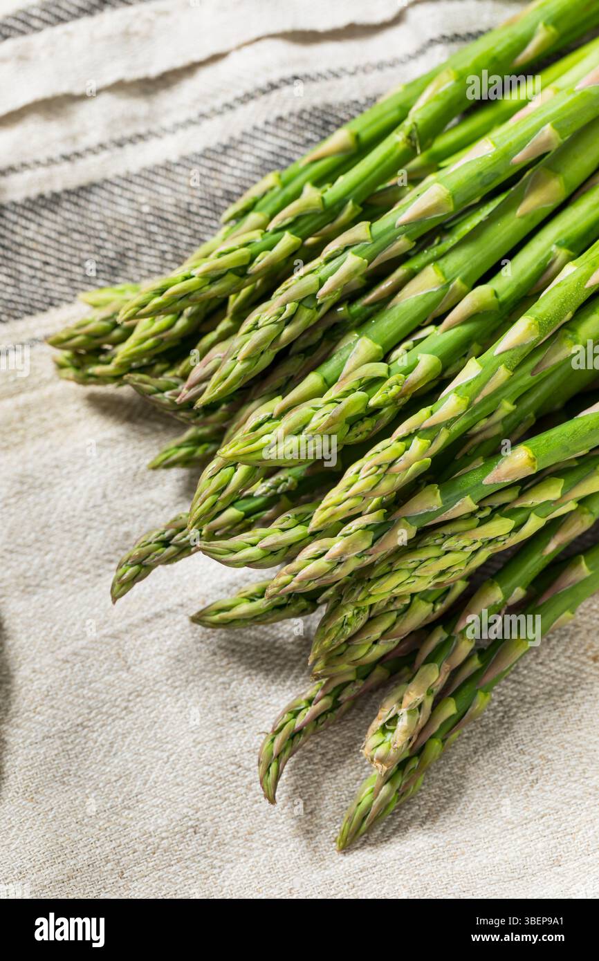 Materie organiche verdi asparagi germogli pronti per cucinare Foto Stock