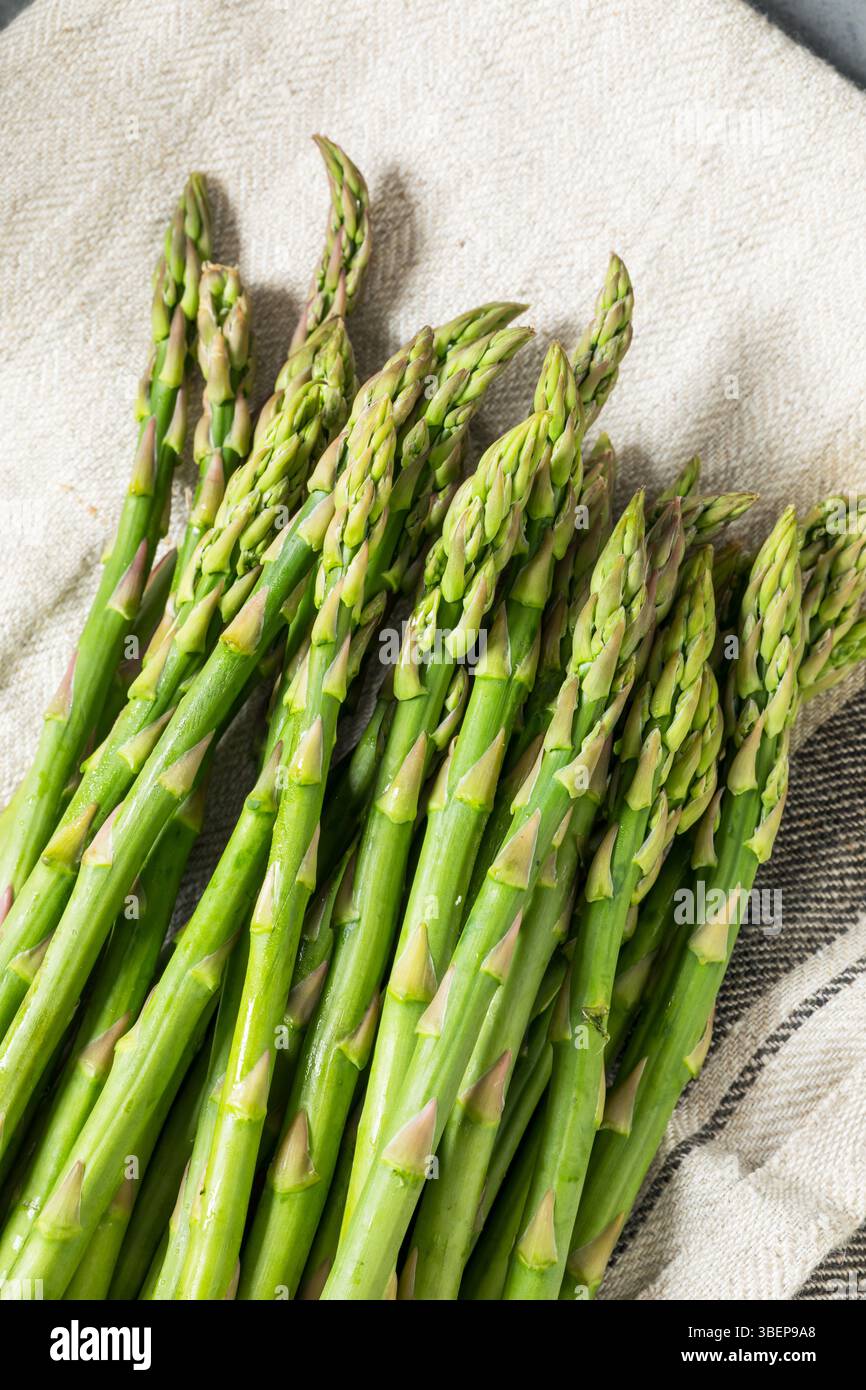 Materie organiche verdi asparagi germogli pronti per cucinare Foto Stock