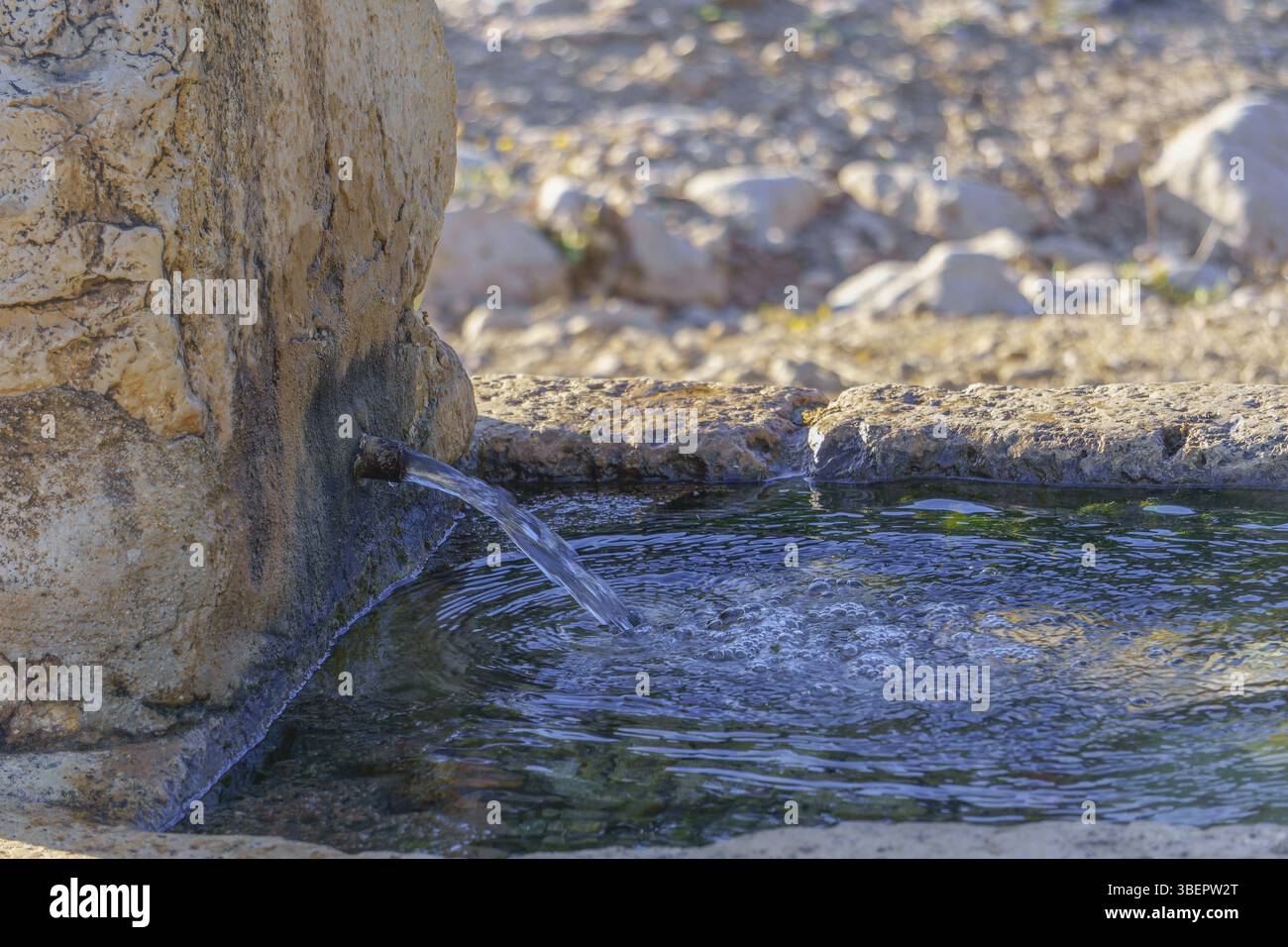 Acqua fresca e pulita che sgorga da una sorgente nel deserto, fornendo una fonte vitale di vita Foto Stock Acqua fresca e pulita che sgorga da una sorgente nel deserto, fornendo una fonte vitale di vita Foto Stock
