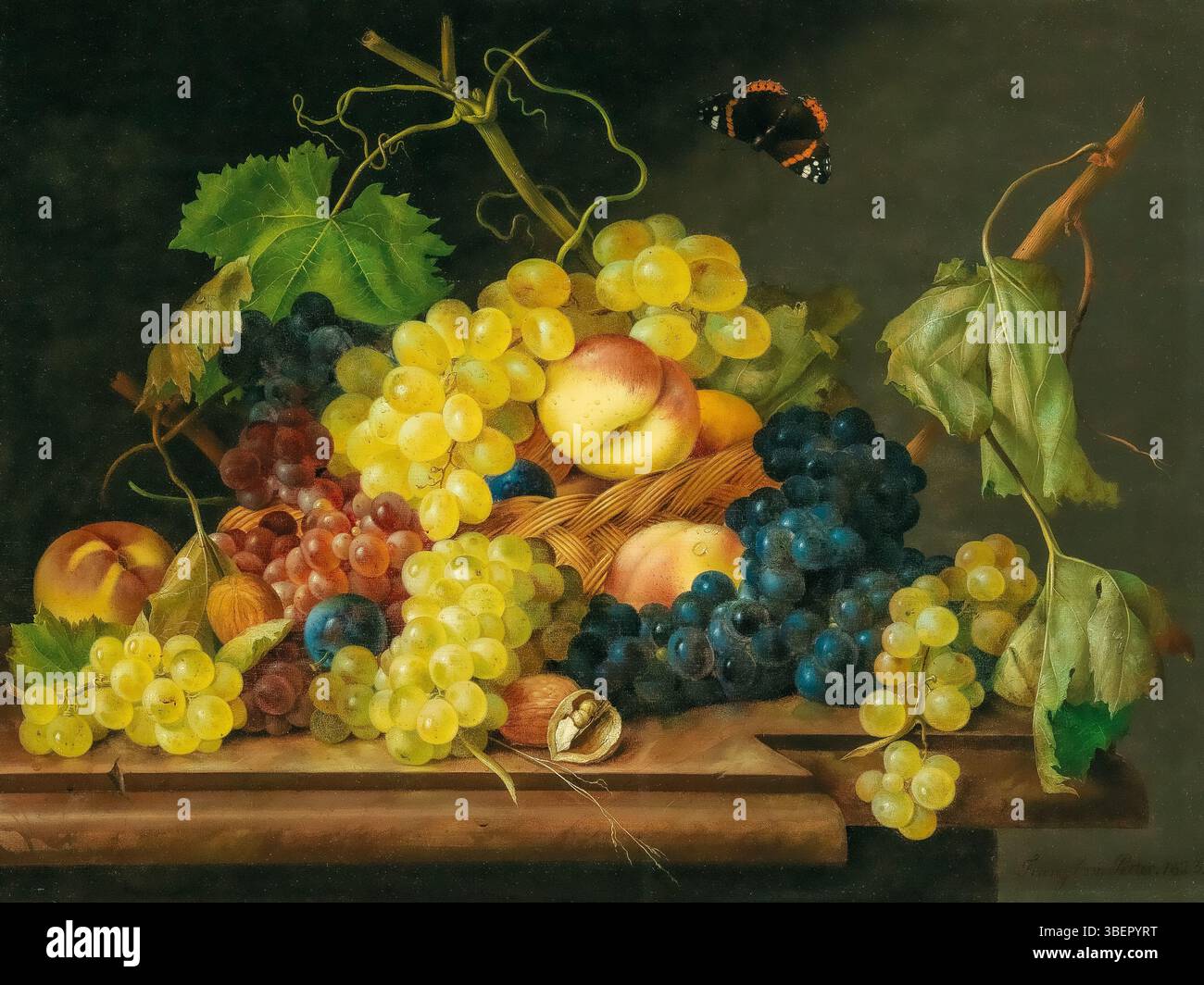 Franz Xaver Petter, natura morta con uva, pesche e noci, 1823, olio su pannello; Foto Stock