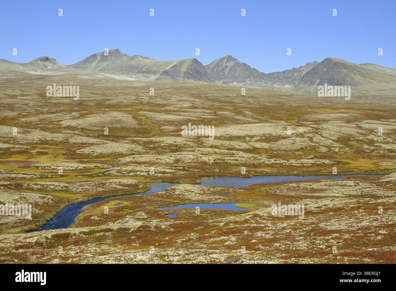 Rondane Foto Stock