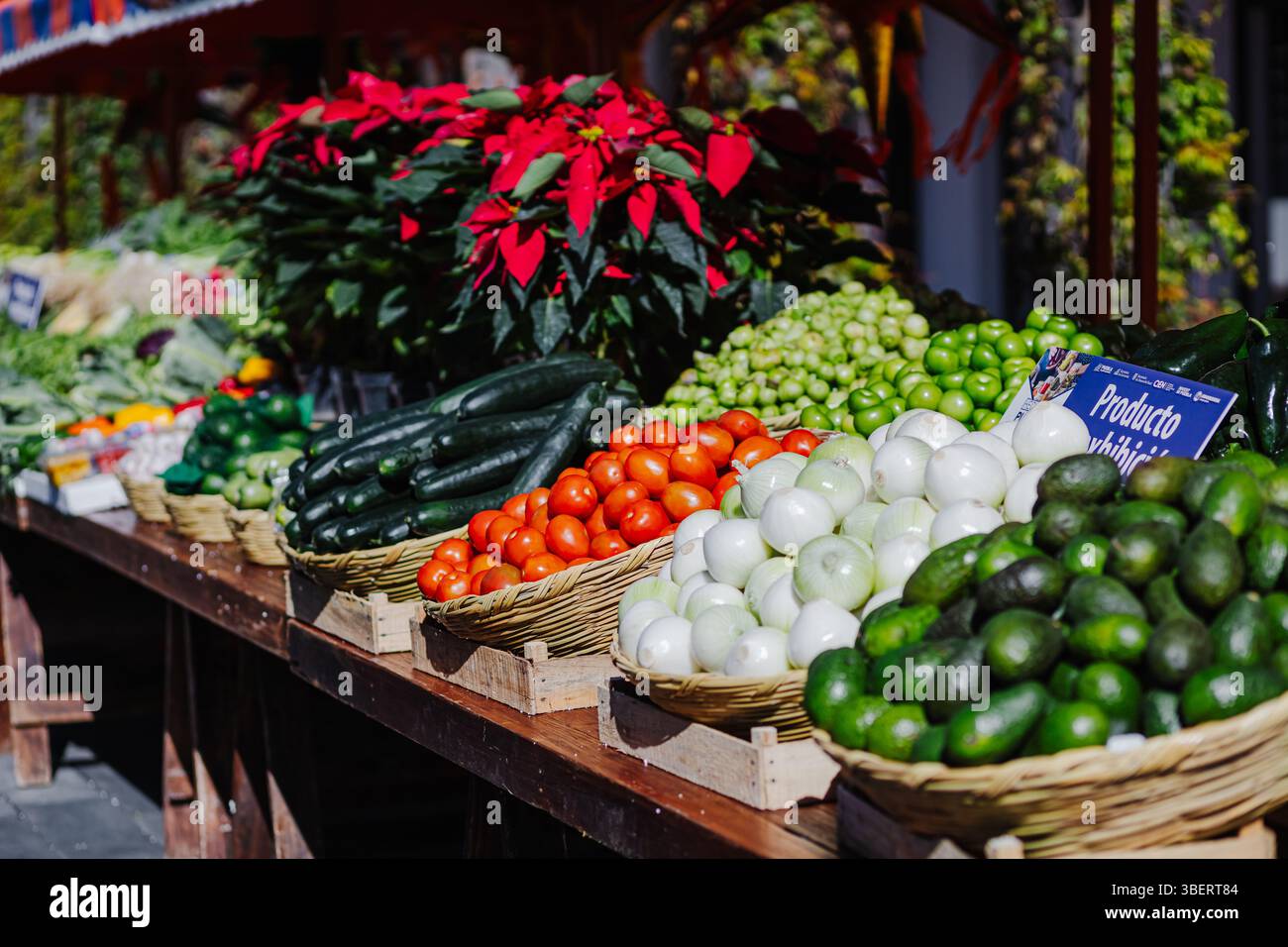Una variopinta selezione di verdure fresche, tra cui pomodori, pomodori, cipolle, avocado e patate esposte in cesti presso un Market stan all'aperto Foto Stock