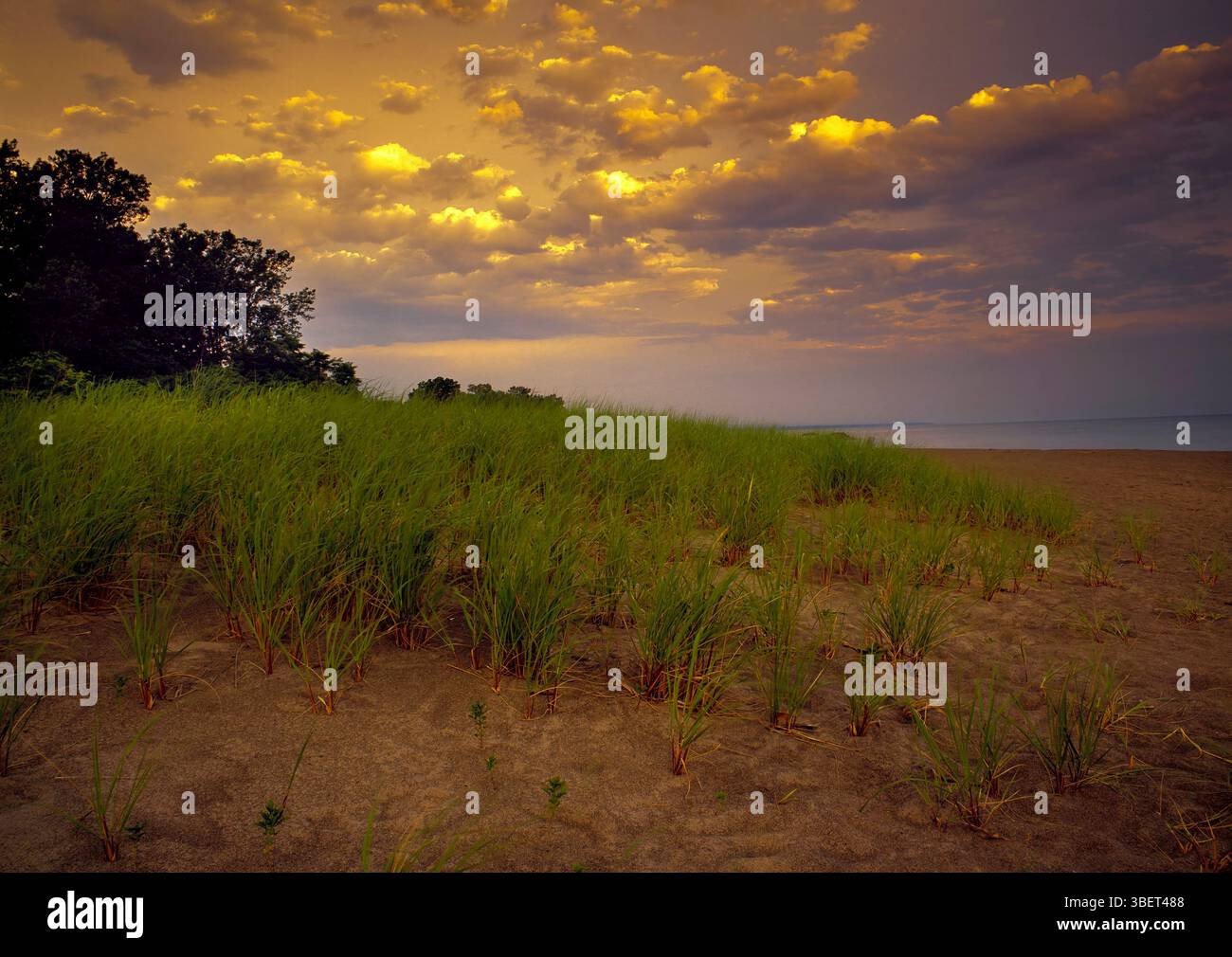 Tramonto sulla spiaggia di Presque Isle State, Lake Erie, Pennsylvania Foto Stock