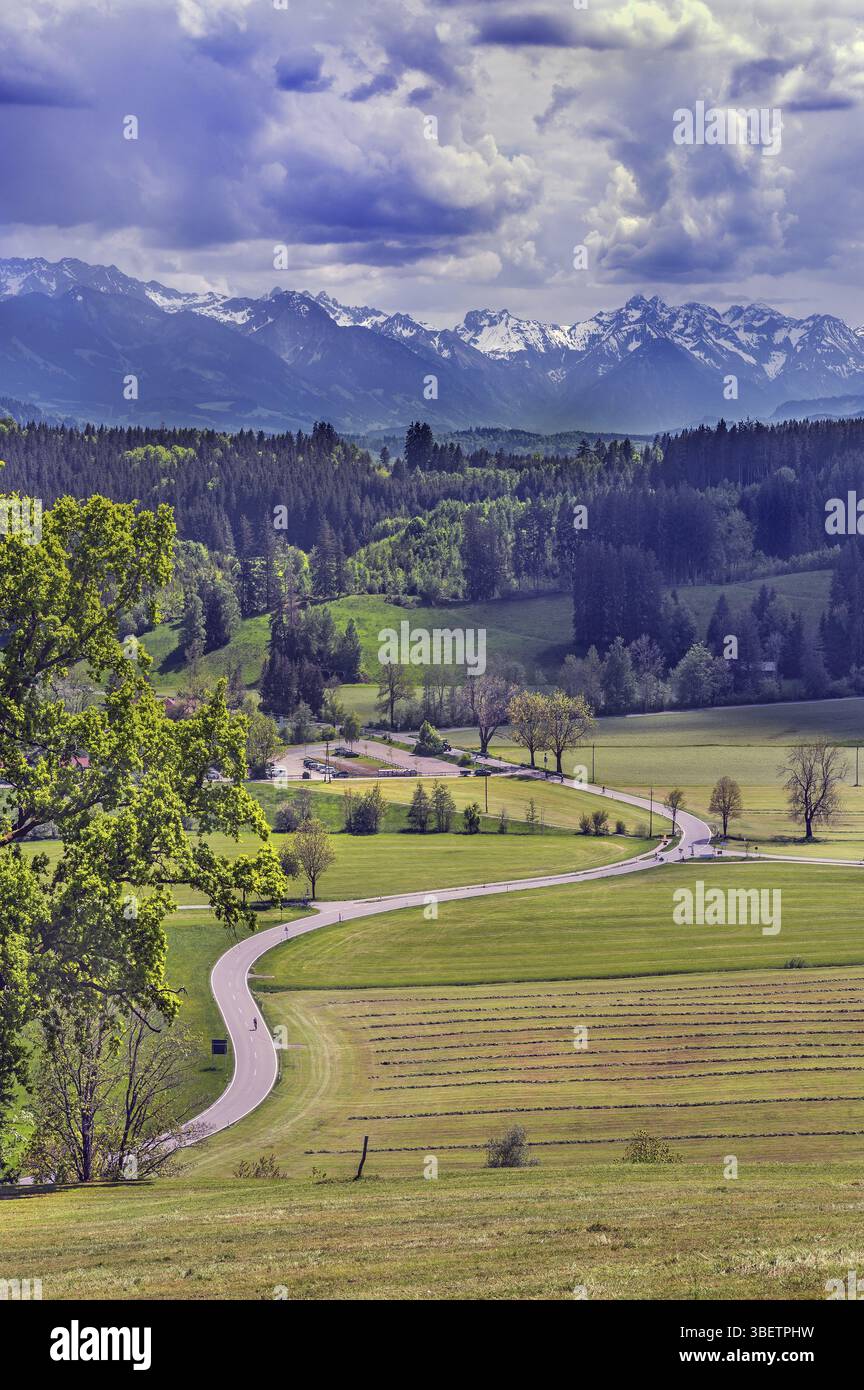 Prati primaverili falciati, tortuose strade di campagna, foreste miste e Alpi Allgaeu con spettacolari nuvole vicino a Niedersonthofen, Allgaeu, Svevia, Baviera, Germania Foto Stock
